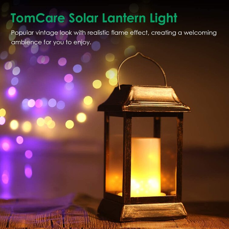 HoogaLife 8.3'' Solar Powered Integrated LED Outdoor Lantern  Reviews  Wayfair