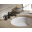Dartmouth® Vitreous China Oval Undermount Bathroom Sink with Overflow-3850019