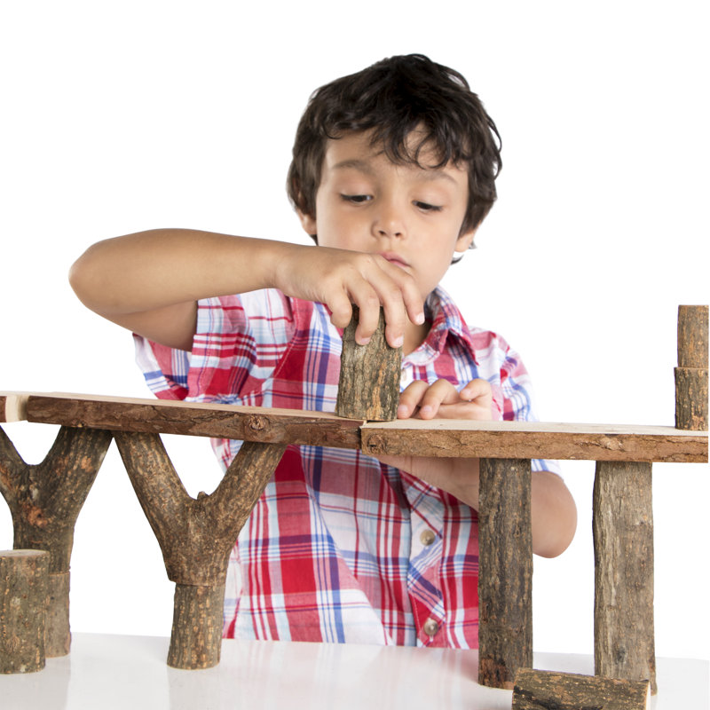 Branch Blocks Learning Tools