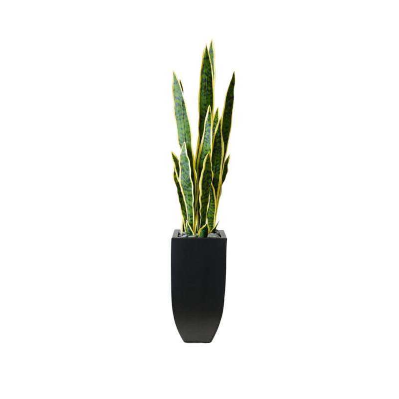 Faux Snake Plant (Sansevieria) Plant in Planter
