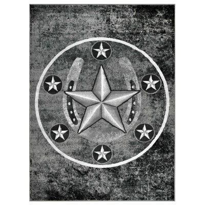 Southwestern Indoor Rug