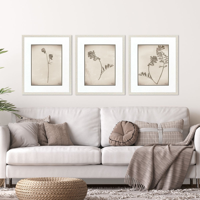 Wildflower Stems II Framed Art