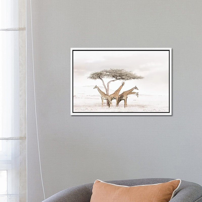 White Giraffes by Klaus Tiedge - Print on Canvas, 66.04 cm H x 45.72 cm W, White Framed