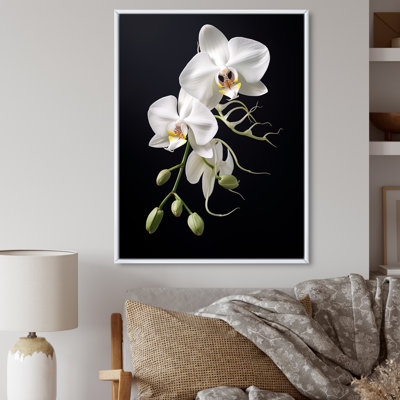 Orchidée délicate noire et blanche - décoration murale orchidée