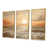 Gold Floater Framed