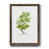 Papier noyer