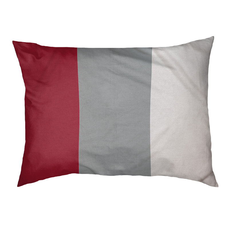 Coussin pour chien Denver, Petit (l 28 po x P 18 po x H 6 po), Rouge / argent / blanc