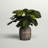 22'' Faux Fiddle Leaf Fig Plant in Cement Planter