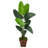 Travelers Palm Artificial Tree in Brown Planter