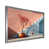 Silver Single Picture Framed