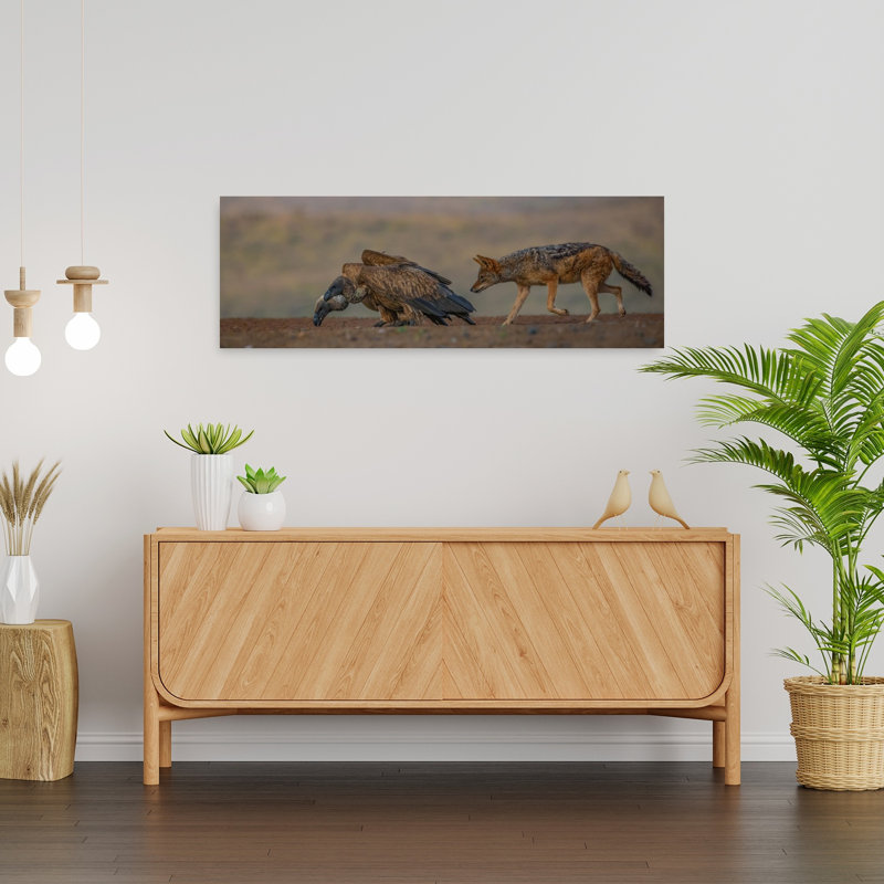 African Vulture Jackal by Peet Van Den - Wrapped Canvas Panoramic Print, 91.44 cm H x 30.48 cm W
