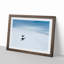 Playing Penguins - Picture Frame Painting Print-55601258-55601262