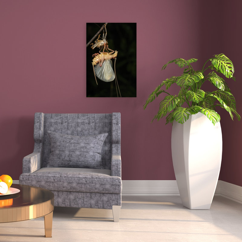 Change The New Shirt Abstract Contemporary Nature Wall Art Print by Nguyen Trung Dung - Print, 60.96cm H x 40.64cm W
