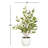 Olive Tree with Vase