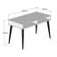 Wellman Writing Desk-667229345