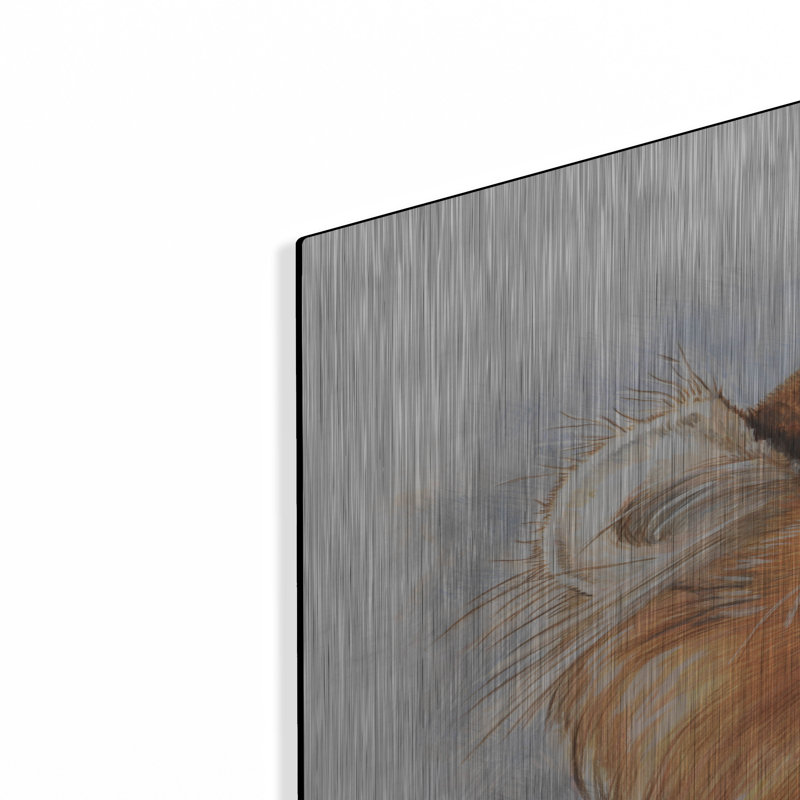 «American Curl 2» par Barbara Keith, H 36 po x l 24 po