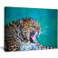«Wild Leopard Close up View», impression-35062502-35062497