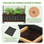 Elevated Planter