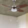 Fundy 111cm Ceiling Fan with Light Kit