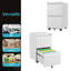 Makinzey 15.35'' Wide 2 -Drawer Mobile Steel File Cabinet