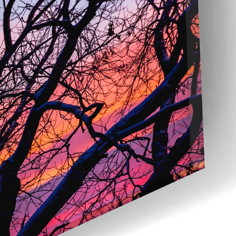 «Sunrise In The Trees» par Darren White, H 12 po x l 24 po