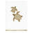 4 Piece 100% Turkish Cotton Towel Set-77458426
