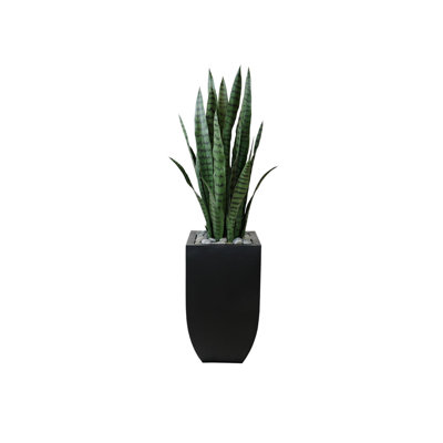 Faux Snake Plant (Sansevieria) Plant in Planter