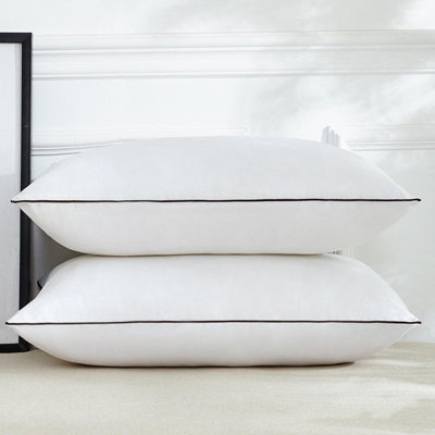Taie d'oreiller douce et moelleuse en velours 19 po x 29 po avec fermeture à glissière rectangulaire confortable pour lit Home Hotel