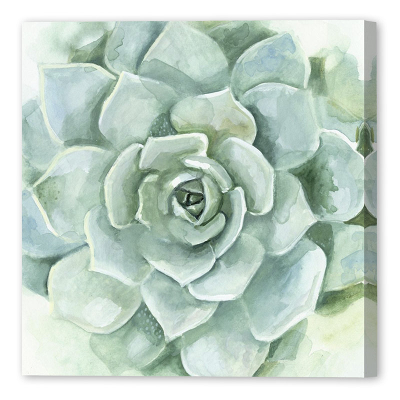 «Verdant Succulent», reproduction d'art sur toile tendue