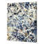 Shards Print by Viola, Pamela