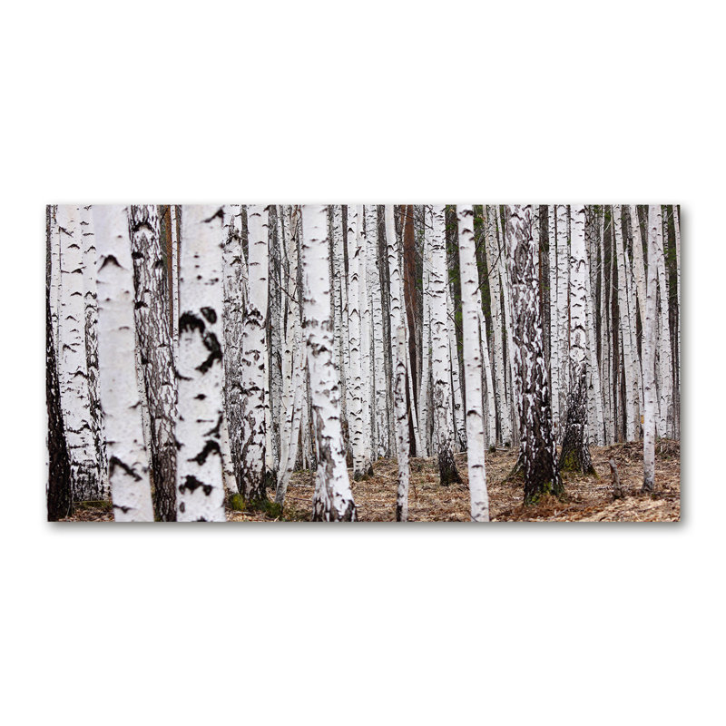 Birch-tree - Wrapped Canvas Print