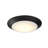 Mahdeen Acrylic LED Flush Mount in Black-578181934