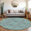 Lummus Machine Washable Damask Indoor / Outdoor Area Rug