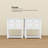 Ekamjhot 2-Piece Nightstand With Shelves And Drawers