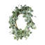 D23,6 po, couronne d'eucalyptus, vert