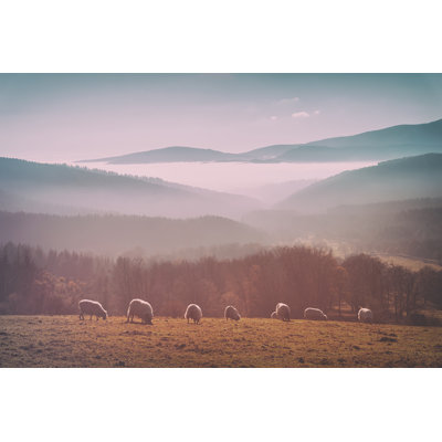 Flock Of Sheep by Mimadeo - Wrapped Canvas Print