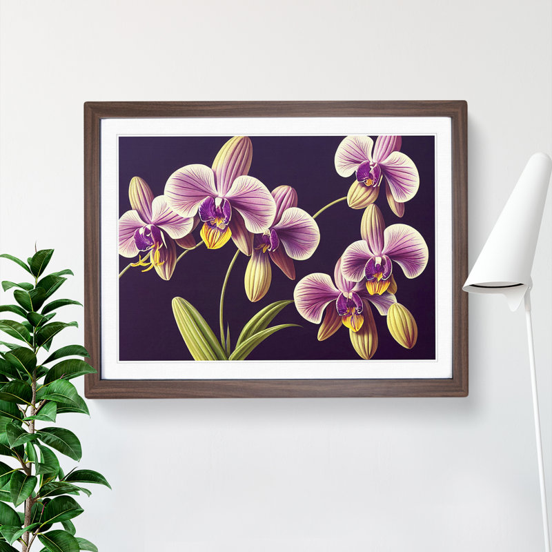 Captivating Orchid Flowers - Framed Print, 25cm H x 34cm W x 2cm D, Walnut