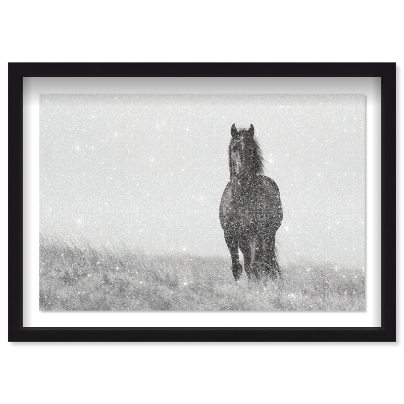 Lone Stallion I Print by Oliver Gal, 25.5" H x 37.5" W, Black Shadowbox