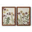 Pressed Flower Arrangement I - Ensemble de 2 reproductions d'art-2015717451-2015717448