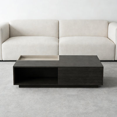 Table basse avec plateau et petit rangement