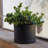 Modern Plastic Indoor/Outdoor Round Planter with Saucer-537849435-537849380
