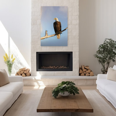Watchful Gaze Realistic Rustic Contemporary Bird Eagle Nature Portrait Wall Art