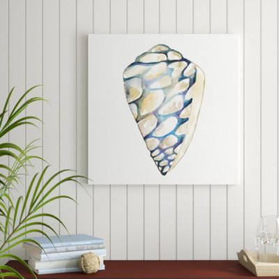 Aquarelle Shells III by Chariklia Zarris - Wrapped Canvas Painting