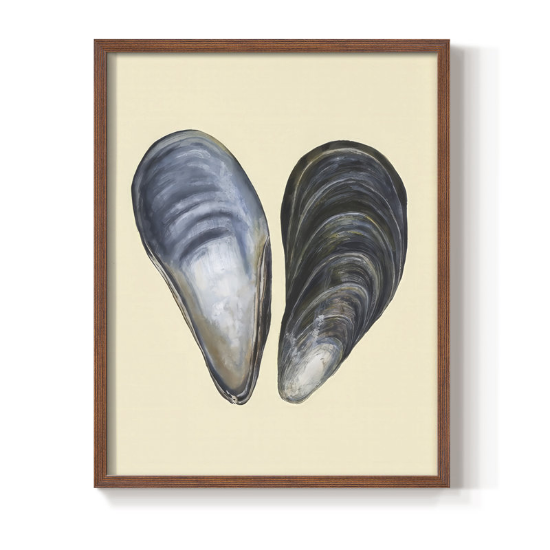 «Bivalve Shells I», reproduction encadrée - bois massif, H 15 po x l 12 po, Noyer