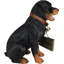Statue de chien Rottweiler H 13 po avec collier Jingle Red Barrel Studio® Lifelike Pet Pal Ritweiler «On Patrol» et «Spoilé Rotten» comme entrée de patio