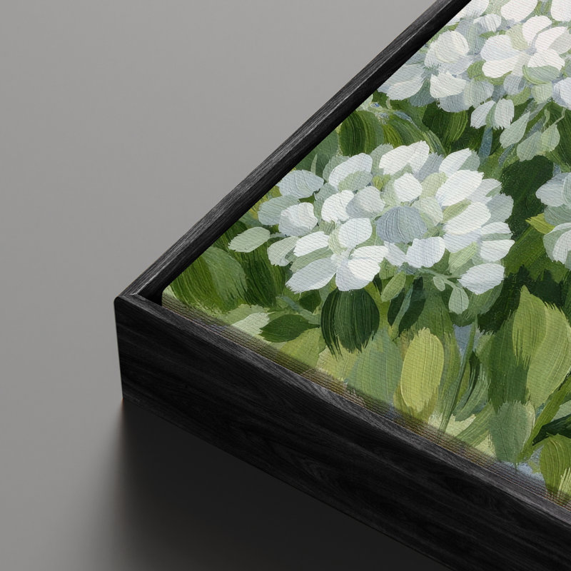 «White Hortensia Blooms with Green Lush Green Leaves», art mural encadré, Noir, H 24 po x l 36 po