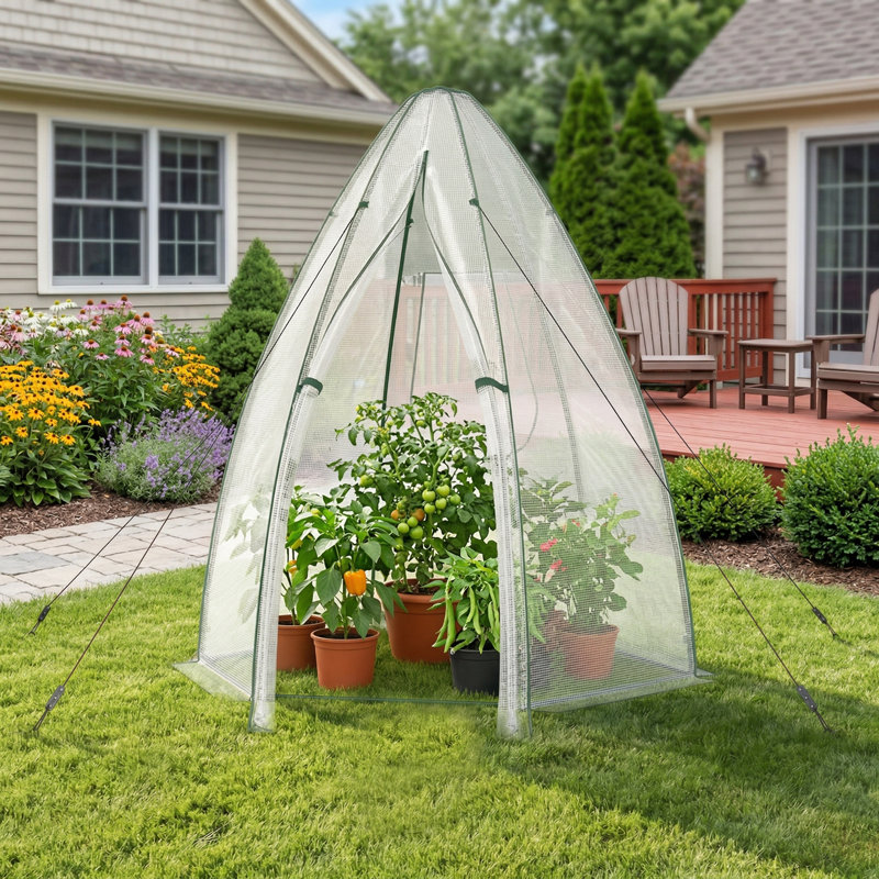 5.5'X5.5'X6' Portable Mini Garden Greenhouse, Thick All-Weather Waterproof PE Cover & Reinforced Rust-Resistant Frame