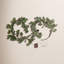 1.7' Garland with 48 Warm Lights