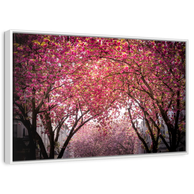 Fleurs de cerisier en fleurs, Cadre flottant blanc, 13 po x 9 po