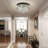 Dameion 6-Light Crystal Ceiling Lamp Flush Mount